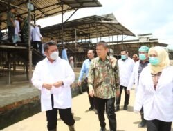 Banyuasin Mantapkan Diri Jadi Sentra Telur Modern, Peternak Kantongi Sertifikat NKV dan GFP