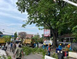 PLN ULP Muara Enim Perkuat Keandalan Listrik Lewat ROW
