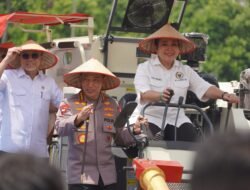 Tuan Rumah Panen Raya Jagung Serentak Kuartal III, OKU Timur Lumbung Jagung Terbesar di Sumsel