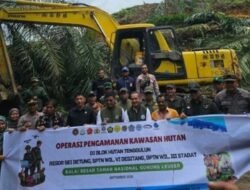 Kemenhut Mulai Pulihkan Hutan TNGL, 59 Hektare Kebun Sawit Ilegal Ditebang