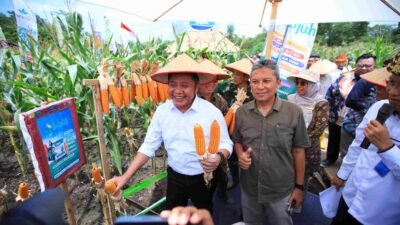 Padi Apung Jadi Ikon Inovasi, Sumsel Siap Jawab Tantangan Ketahanan Pangan Nasional