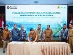 Tujuh Desa di Muara Enim Segera Terang, PLN Bangun Jaringan Listrik di Kawasan Hutan