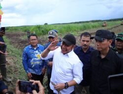 OKI Primadona Baru Pertanian Nasional, Sumbang Terbesar Program Cetak Sawah di Sumsel