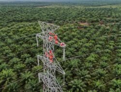 PLN Dorong Interkoneksi ASEAN Power Grid, Kunci Akselerasi Transisi Energi Bersih di Asia Tenggara