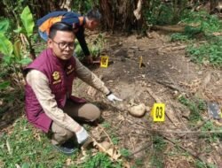 Teka Teki di Balik Penemuan Kerangka Misterius di Kebun Pisang OKU Selatan Mulai Terkuak