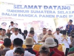 Banyuasin Mantapkan Posisi Lumbung Pangan Nasional, Produksi Padi Tembus Satu Juta Ton