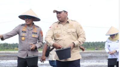 Banyuasin Uji Coba Benih Padi IP 300 di Karang Agung Ilir