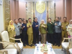 Wagub Sumsel Terima DPD DEKRAFMI, Dorong Penguatan Ekonomi Kreatif