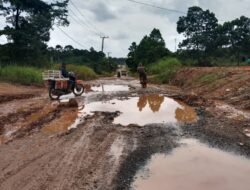 Truk Tambang Rusak Jalan, Kubangan Lumpurnya Ancam Lingkungan dan Kesehatan Warga Muba