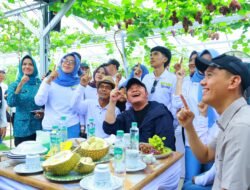Gubernur Sumsel Tinjau Bangubsus di OKI, Sambangi Kebun Anggur Warga yang Viral