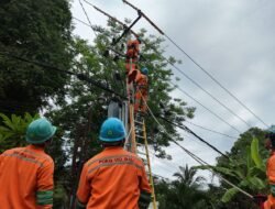 PLN Pastikan Listrik Aman di Malam Tahun Baru 2026, Beban Puncak Tembus 40,23 GW