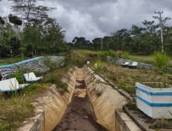 PSN Rp 900 Miliar di Sumsel Gagal Total, Bendung Lematang Tak Aliri Sawah Sejengkal pun