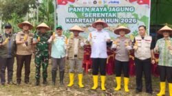 Panen Raya Jagung Kuartal I 2026, OKU Selatan Tegaskan Dukungan Swasembada Pangan