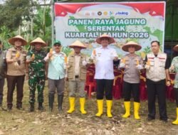 Panen Raya Jagung Kuartal I 2026, OKU Selatan Tegaskan Dukungan Swasembada Pangan