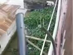 Kabel Internet Diduga Dicuri, Akses Warga Desa Sungai Rebo Banyuasin Lumpuh