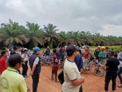 Polisi Turun ke Lahan Plasma di OKI, Dugaan Penggelapan Sawit Petani Rp 4,3 M Disorot