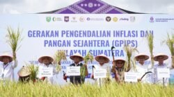 Pengendalian Inflasi Sumsel Didorong dari Sawah, Banyuasin Jadi Pusat Gerakan Pangan