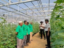 Program Pembinaan Berkelanjutan, Rutan Kelas I Palembang Lanjutkan Penanaman Melon Tahap Kedua