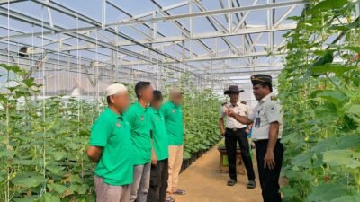 Program Pembinaan Berkelanjutan, Rutan Kelas I Palembang Lanjutkan Penanaman Melon Tahap Kedua