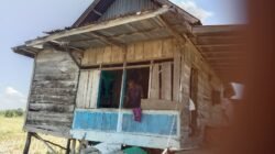 Potret Memprihatinkan Lansia di Keramasan Kertapati, Tinggal di Rumah Hampir Roboh