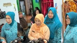 Produk Desa Berdaya Saing Global, Gambo Muba Tuai Pujian PKK Sumsel