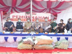 Tindak Tegas Narkoba, Polda Sumsel Bakar 200 Kg Ganja Hasil Ungkap Ladang 20 Hektare
