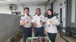 Pegawai dan Peserta Magang Rutan Kelas I Palembang Panen Terong dan Kangkung di Area Ketahanan Pangan