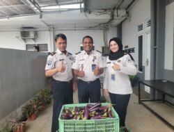 Pegawai dan Peserta Magang Rutan Kelas I Palembang Panen Terong dan Kangkung di Area Ketahanan Pangan