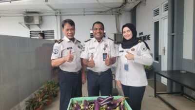 Pegawai dan Peserta Magang Rutan Kelas I Palembang Panen Terong dan Kangkung di Area Ketahanan Pangan