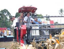 Dukung Swasembada Pangan Nasional, Polda Sumsel Gelar Panen Raya Jagung Serentak di OKU Selatan