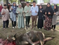 Ratu Dewa Bantu Sapi Kurban untuk Solok Saiyo Sakato di Palembang