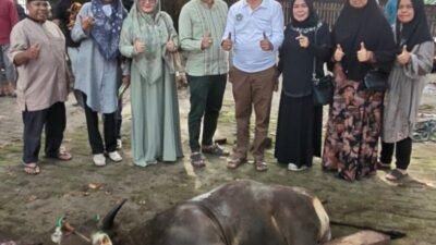 Ratu Dewa Bantu Sapi Kurban untuk Solok Saiyo Sakato di Palembang