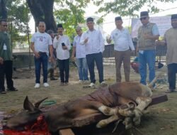 DPP APSSI Salurkan Hewan Kurban Sapi untuk Pedagang Pasar di Palembang