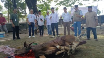 DPP APSSI Salurkan Hewan Kurban Sapi untuk Pedagang Pasar di Palembang