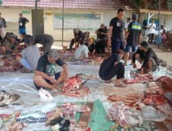Masjid Nur Hidayah Karya Jaya Sembelih 6 Sapi dan 9 Kambing Kurban
