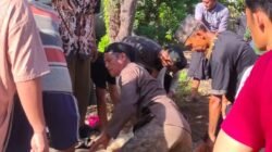 Idul Adha 1447 H, Warga Karya Jaya Sembelih 2 Sapi dan 5 Kambing Kurban