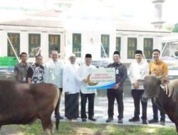 Iduladha 1447 H, Bank Sumsel Babel distribusikan Bantuan Hewan Kurban ke Masyarakat Sumsel dan Babel