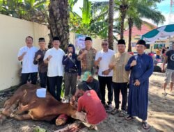 Polres OKU Selatan Ubah Lapangan Jadi Lokasi Pemotongan 30 Hewan Kurban