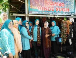 Feby Deru Dorong Gambo Babat Toman Tembus Pasar Nasional hingga Global