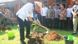 Wagub Sumsel Cik Ujang Tanam Pohon di SMAN 1 Lubuklinggau, Dorong Terwujudnya Sekolah Hijau