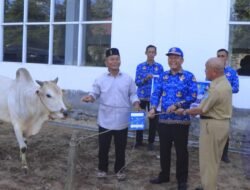 KORPRI OKU Selatan Serahkan Hewan Kurban untuk Masjid Agung Al-Muhtadin