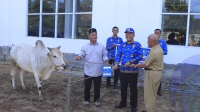 KORPRI OKU Selatan Serahkan Hewan Kurban untuk Masjid Agung Al-Muhtadin