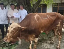 Andie Dinialdie Pimpin Pembagian 800 Kantong Daging Kurban di Palembang