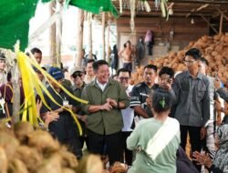Hilirisasi Kelapa Sumsel Tembus Pasar Global, Herman Deru Dorong Sultan Muda Naik Kelas