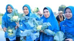 Feby Herman Deru Ajak PKK Kembangkan Produk Olahan, Hasil Kebun Tak Cukup Dijual Mentah
