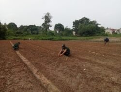 Tak Hanya Bangun Infrastruktur, Satgas TMMD Ke-129 Kodim 0418/Palembang Siapkan Lahan Ketahanan Pangan Seluas Satu Hektare