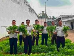 Perkuat Ketahanan Pangan Nasional, Rutan kelas 1 Palembang Panen Kangkung 72,2 Kilogram