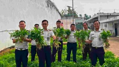 Perkuat Ketahanan Pangan Nasional, Rutan kelas 1 Palembang Panen Kangkung 72,2 Kilogram