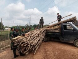 Bawah Terik Matahari, Satgas TMMD ke129 dan Warga Angkut Ribuan Gelam untuk Jalan 750 Meter