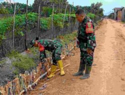 Capai 50 Persen, Wadan Satgas TMMD ke-129 Kodim 0418/Palembang Tinjau Progres Pembangunan Jalan 750 Meter